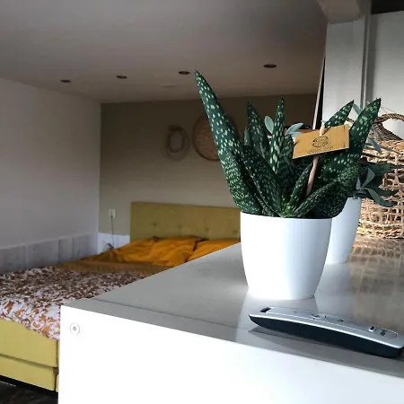 Family House Nyaraló Egmond aan Zee